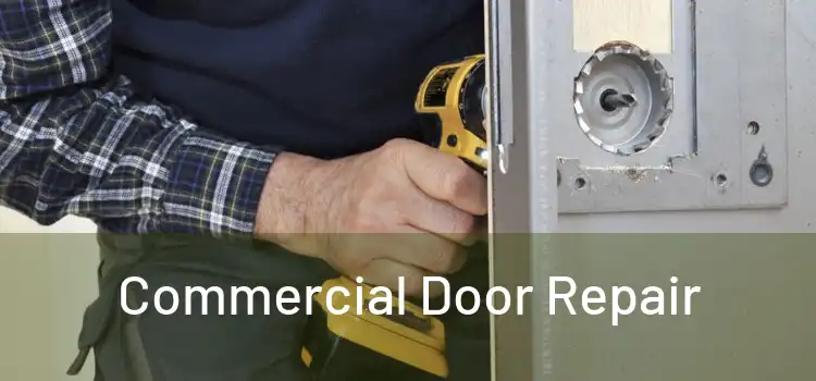 Commercial Door Repair