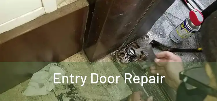 Entry Door Repair