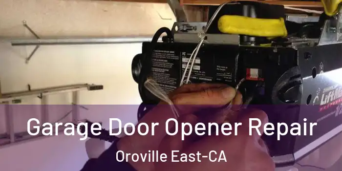 Garage Door Opener Repair Oroville East-CA